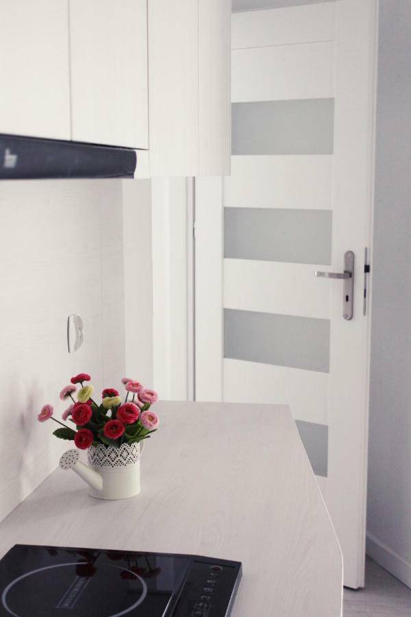 Nowe Apartment *